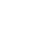NASCH Logo White