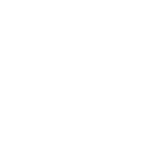 NASCH Logo White