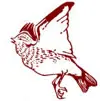 Woodlarks Campsite